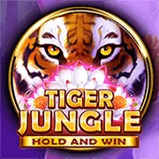 Đối tác phần mềm game 1